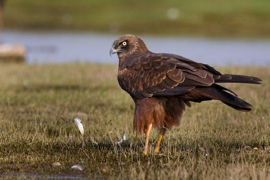 Tour image 3