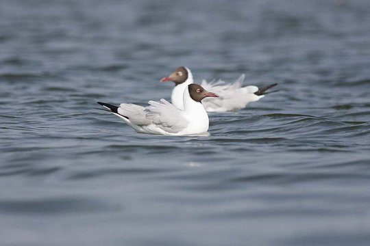 Tour image 6