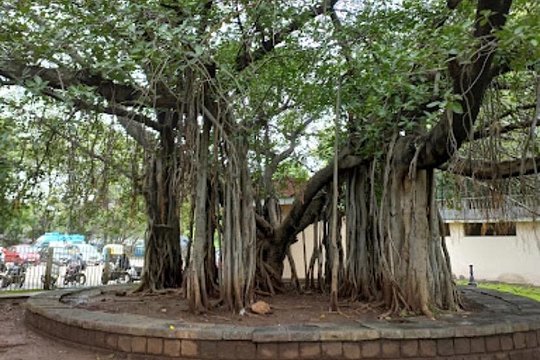 Tour image 8